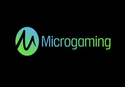 Revisão detalhada sobre Microgaming